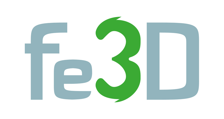 fe3D
